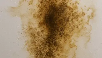 ベランダのシミ